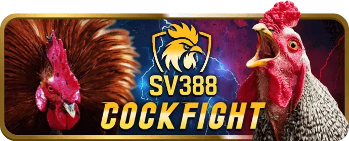 Ưu đãi nạp tiền hàng ngày và hàng tuần tại bj66 code