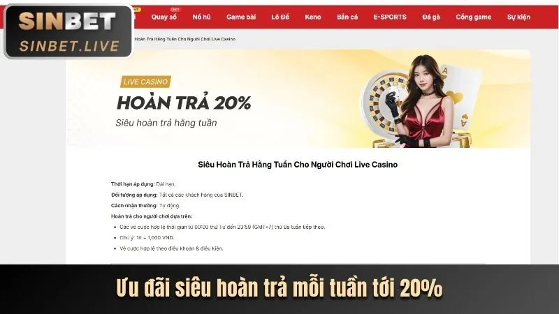 Sự kiện độc quyền BJ66 Code